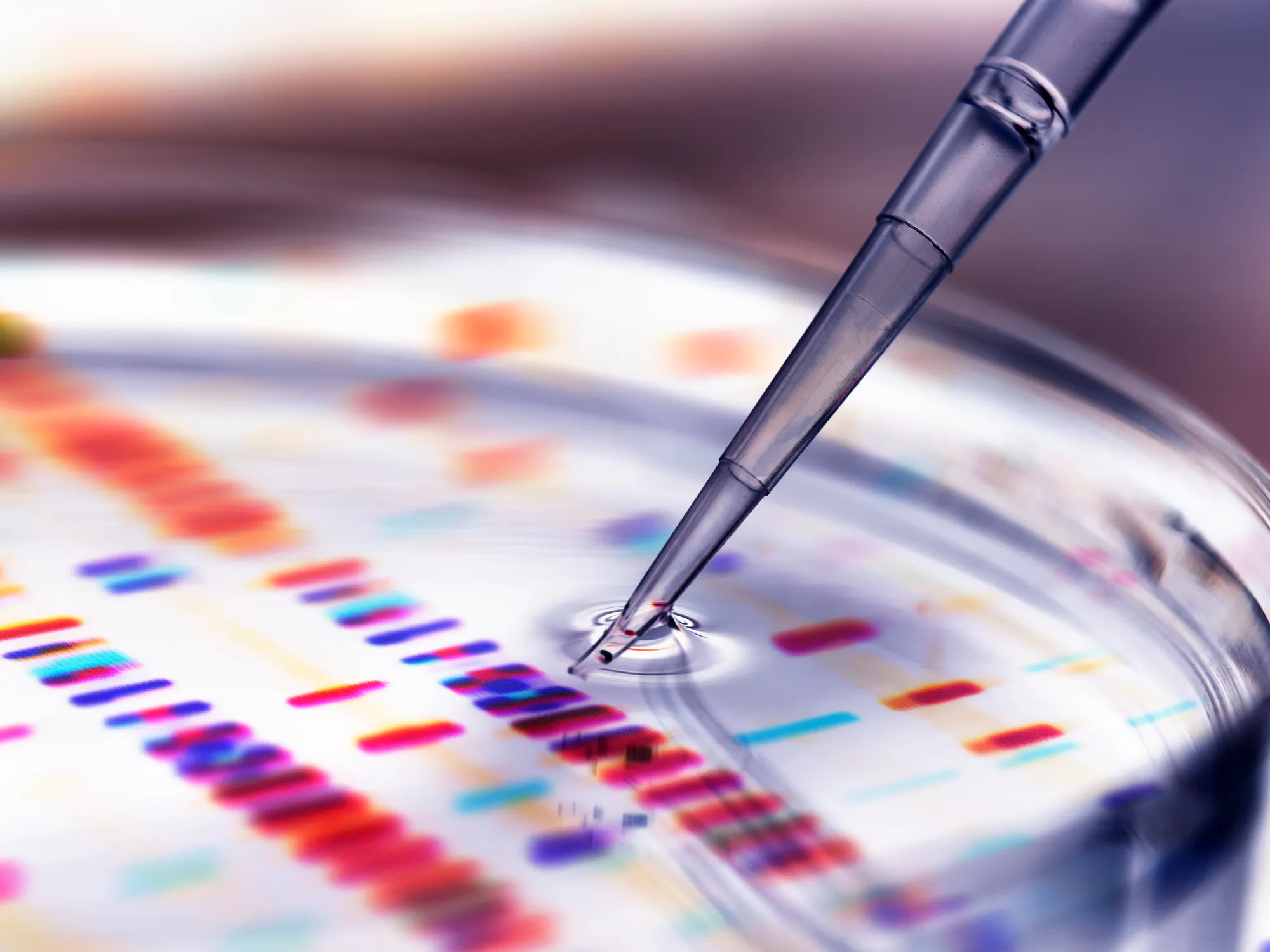 Gene Editing Can Save Your Life And Countless Babies