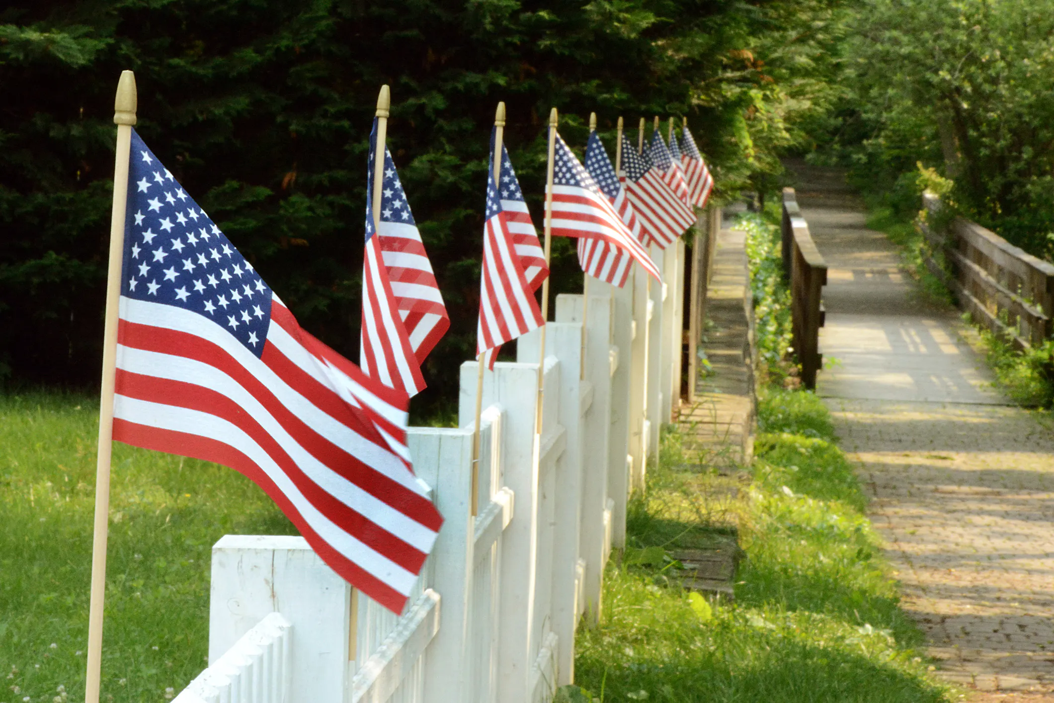 Democrats Hate The Flag That Leads The World. We Celebrate It.