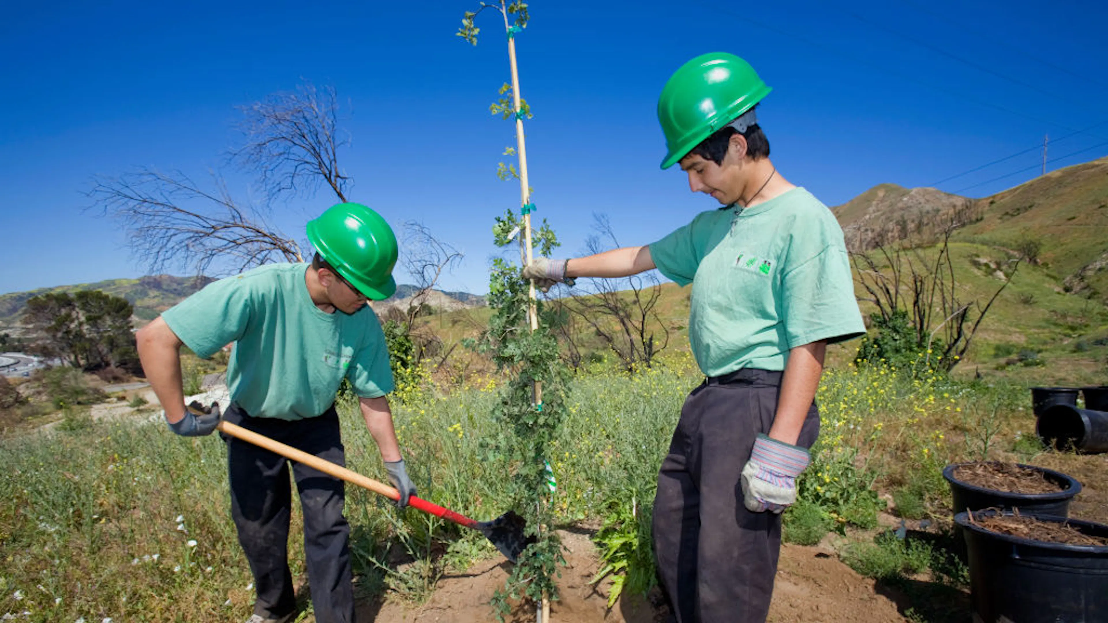 Sustainability Start-Up Founder Who Is Major Dem Donor Sentenced For Massive Fraud Scheme
