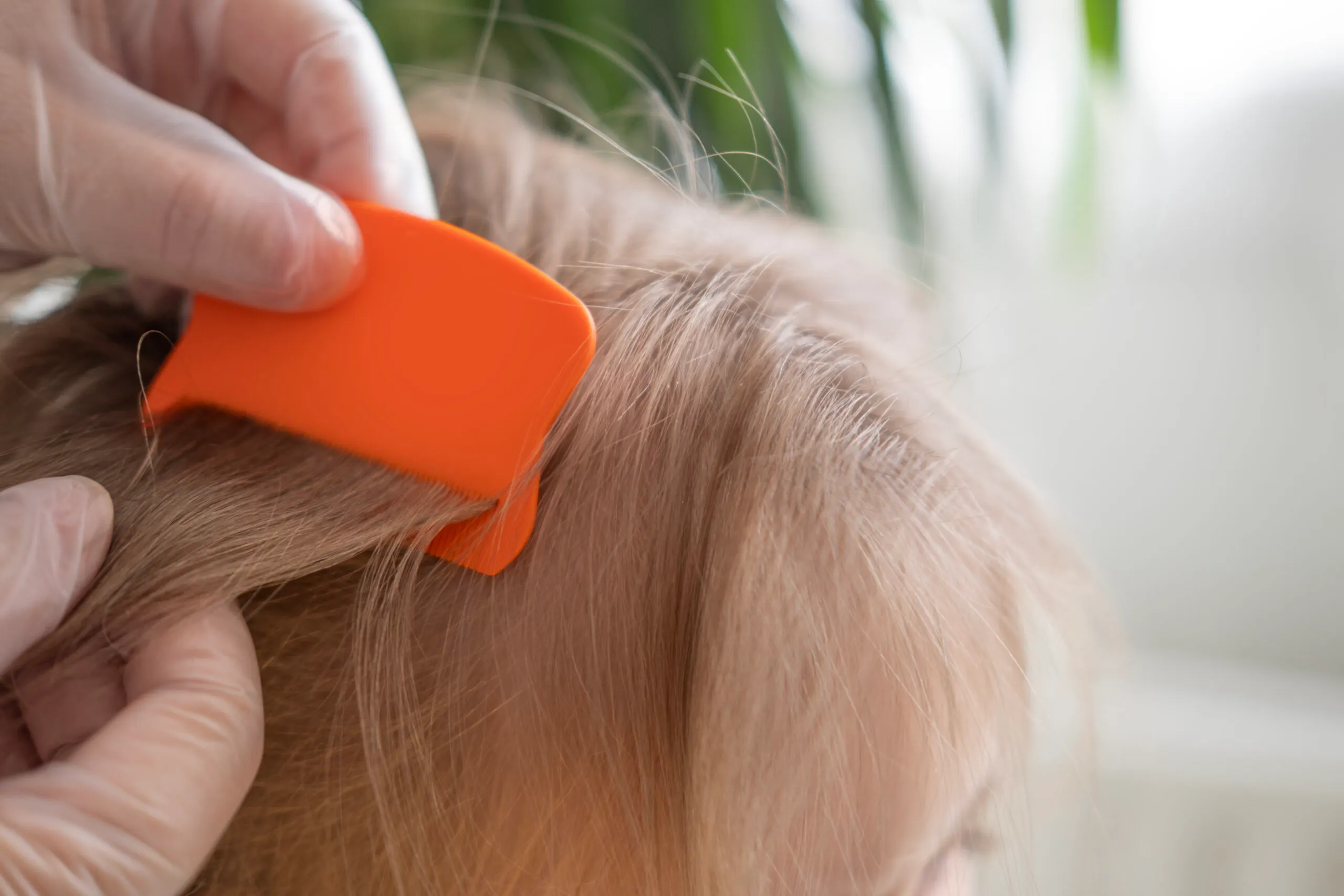 The Lice Infestation At The Center Of A 3-Year-Old’s Death