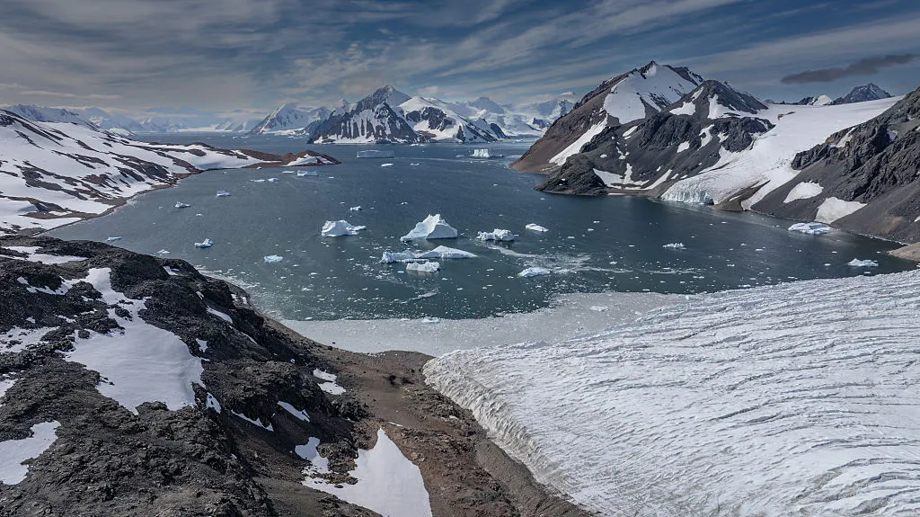 Antarctic Sea Creatures May Hold Key To Fighting Deadly Cancer