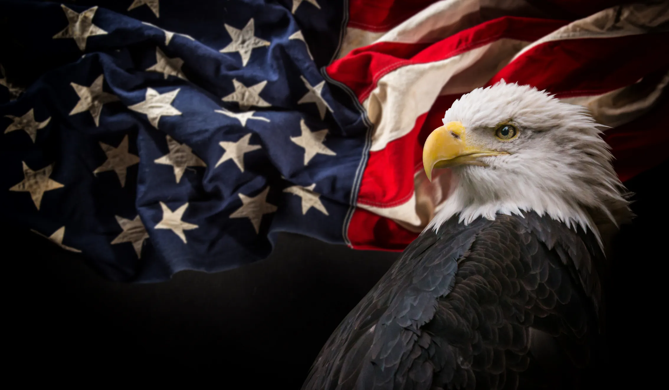 The World Cup Comes To The U.S. And Now Everyone Wants To Be American