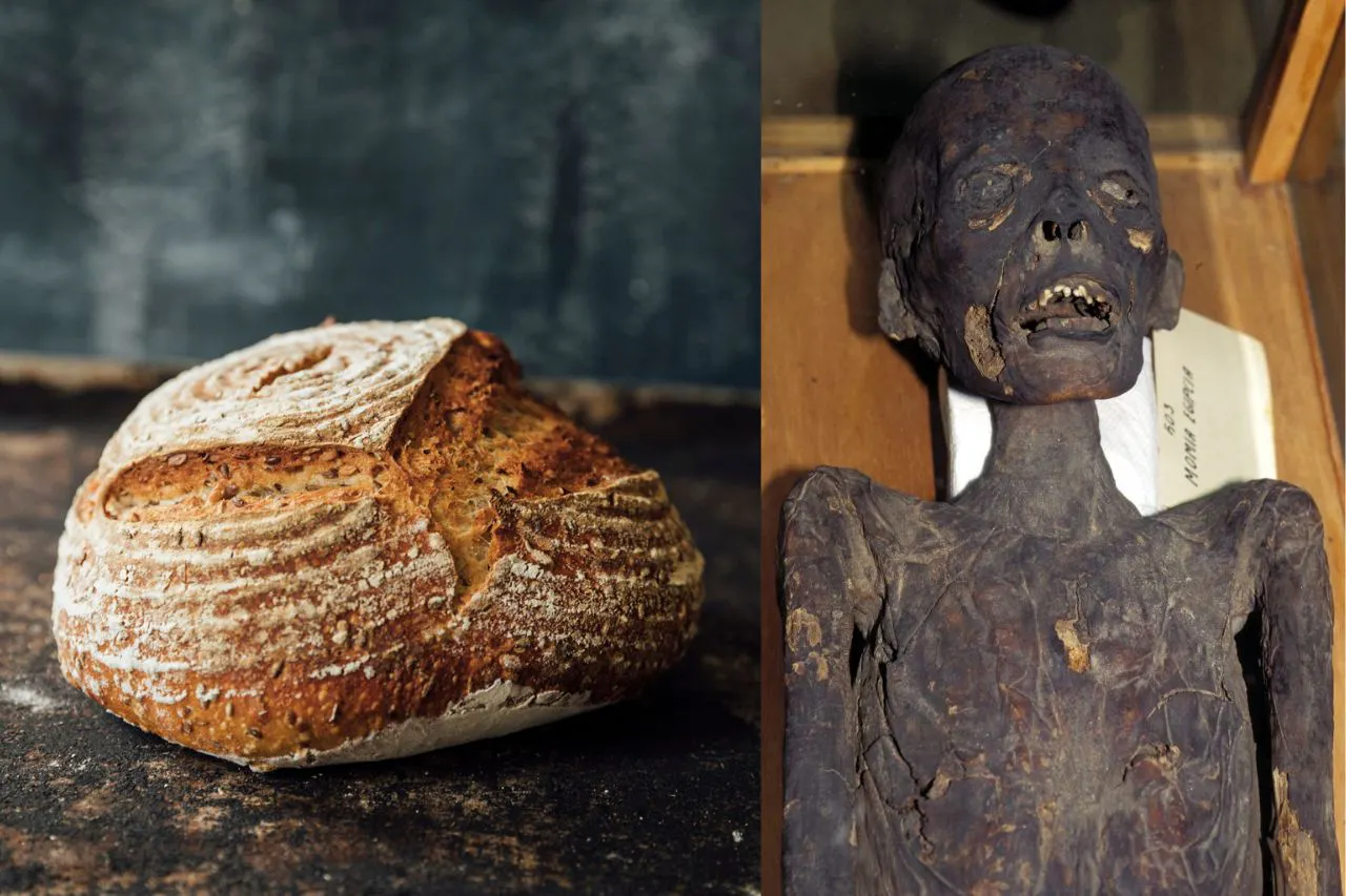 This Sourdough Starter Is 5,300 Years Old — And It Came From A Mummy’s Gut