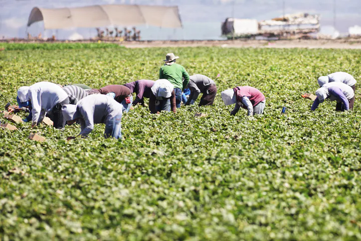 Meet The Republicans Running For Re-Election On Amnesty