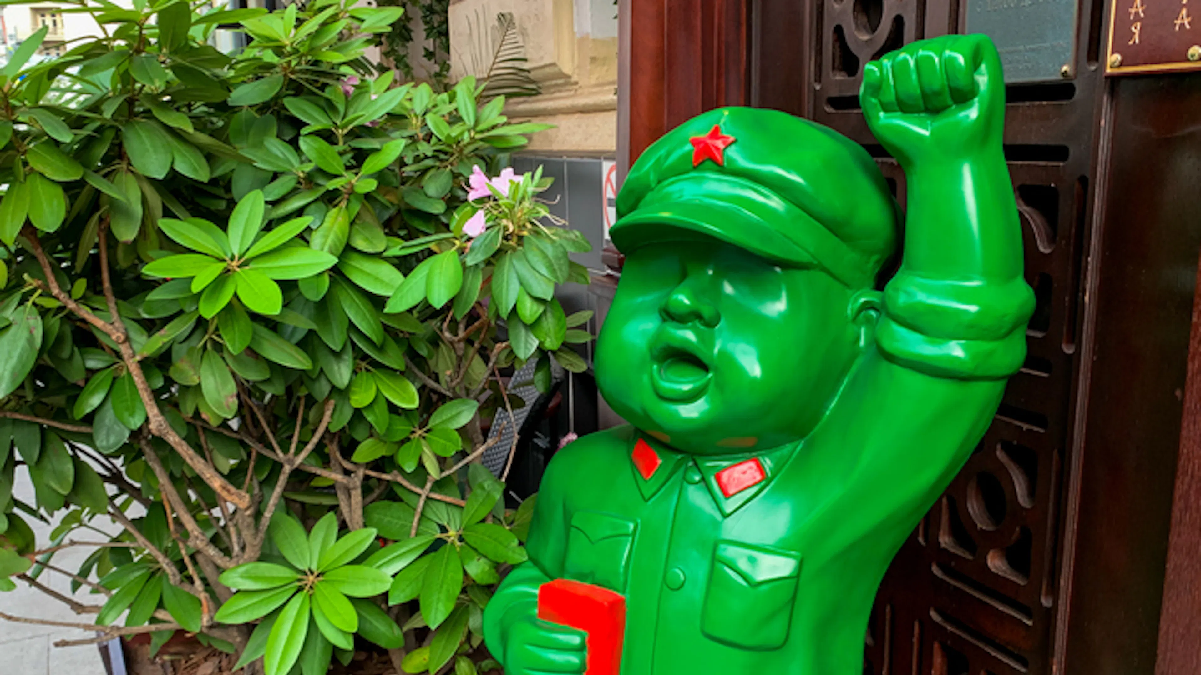The DSA Gang Is Cosplaying Mao To Destroy America