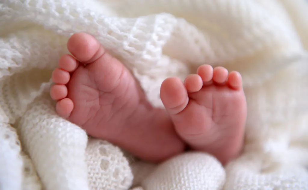 The Abortion Industry Wants To Harvest Your Live Babies