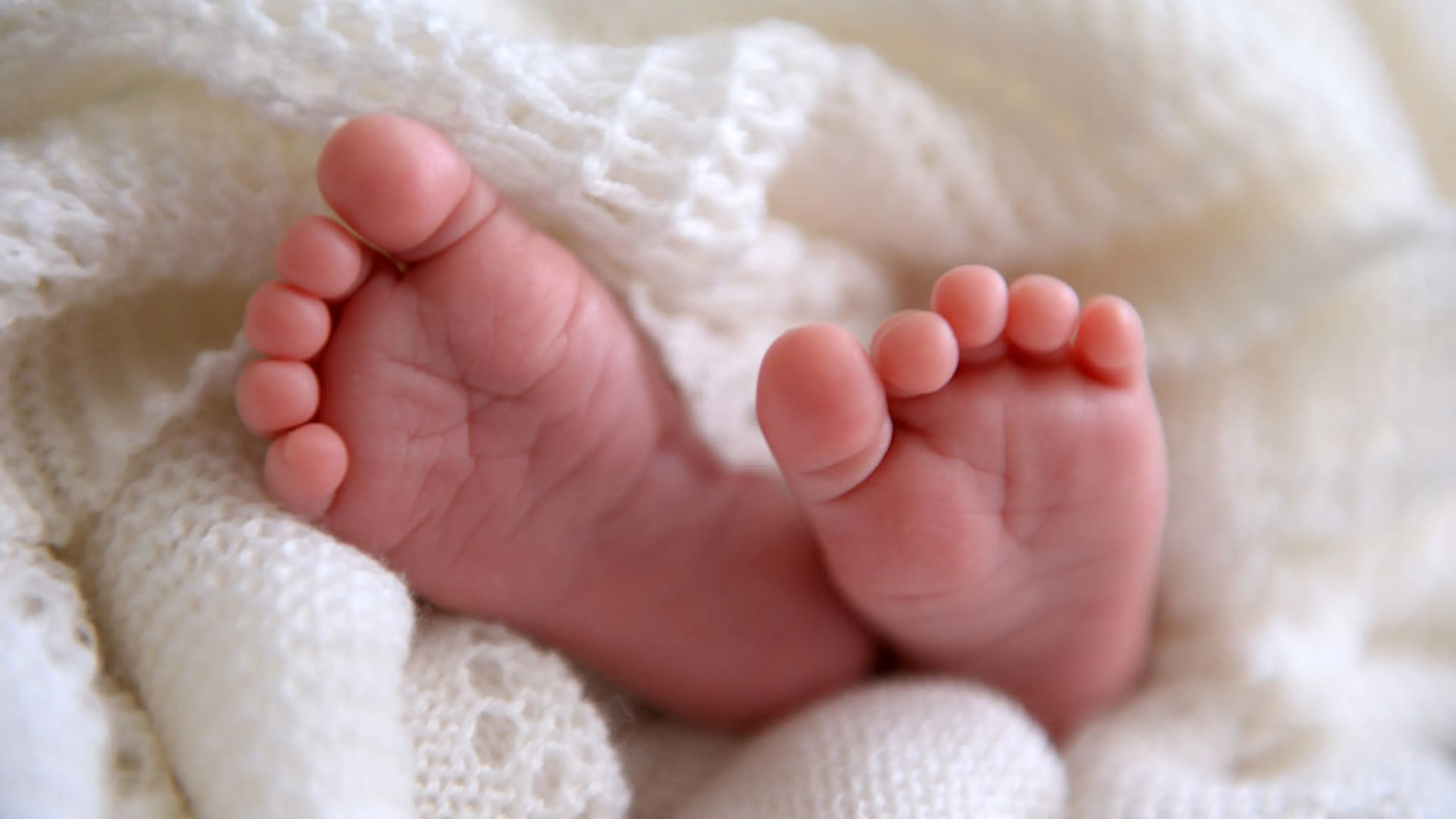 The Abortion Industry Wants To Harvest Your Live Babies