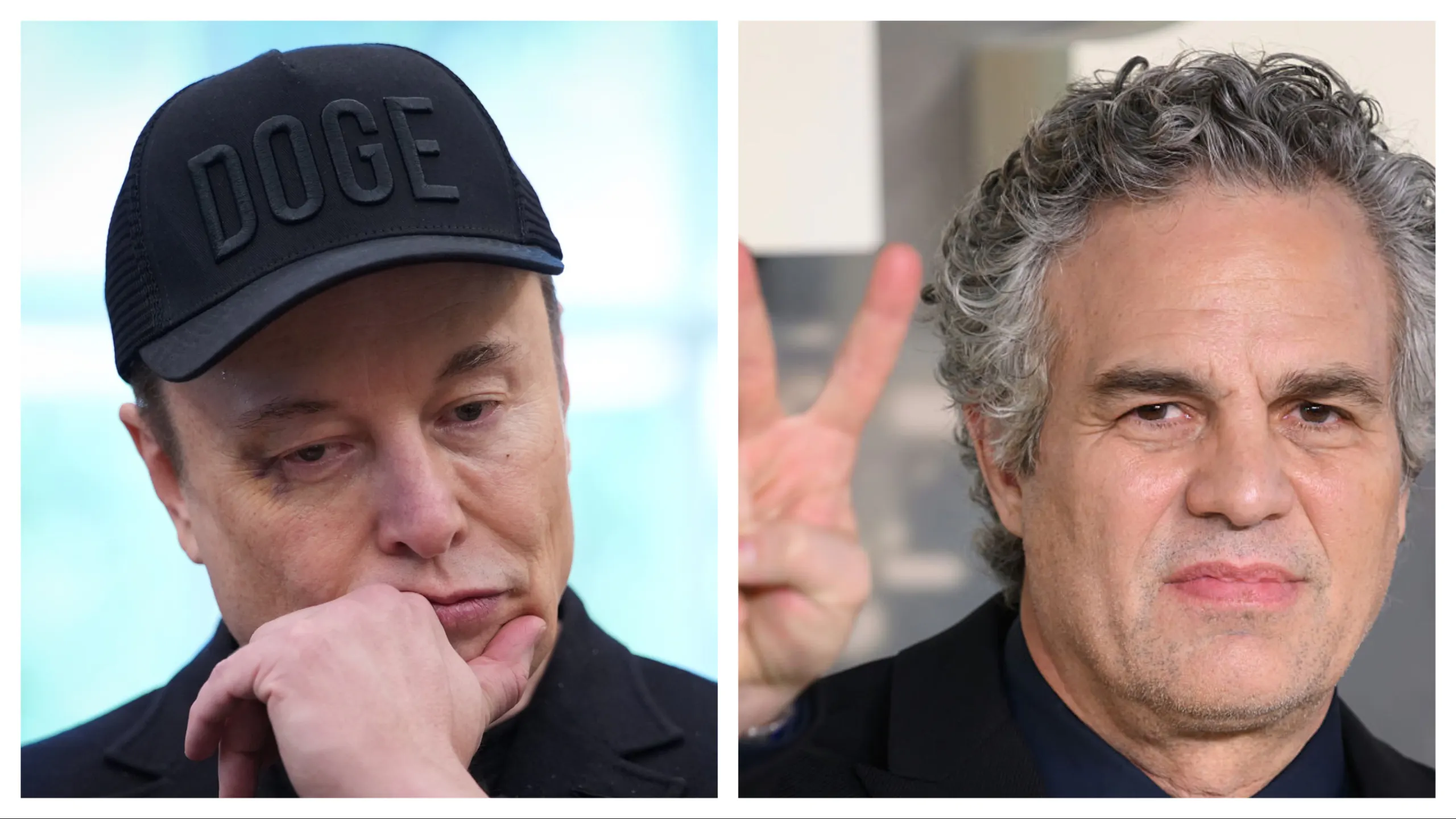 Hulk Smashed: Mark Ruffalo Mocked For Hypocritical Attack On Elon Musk
