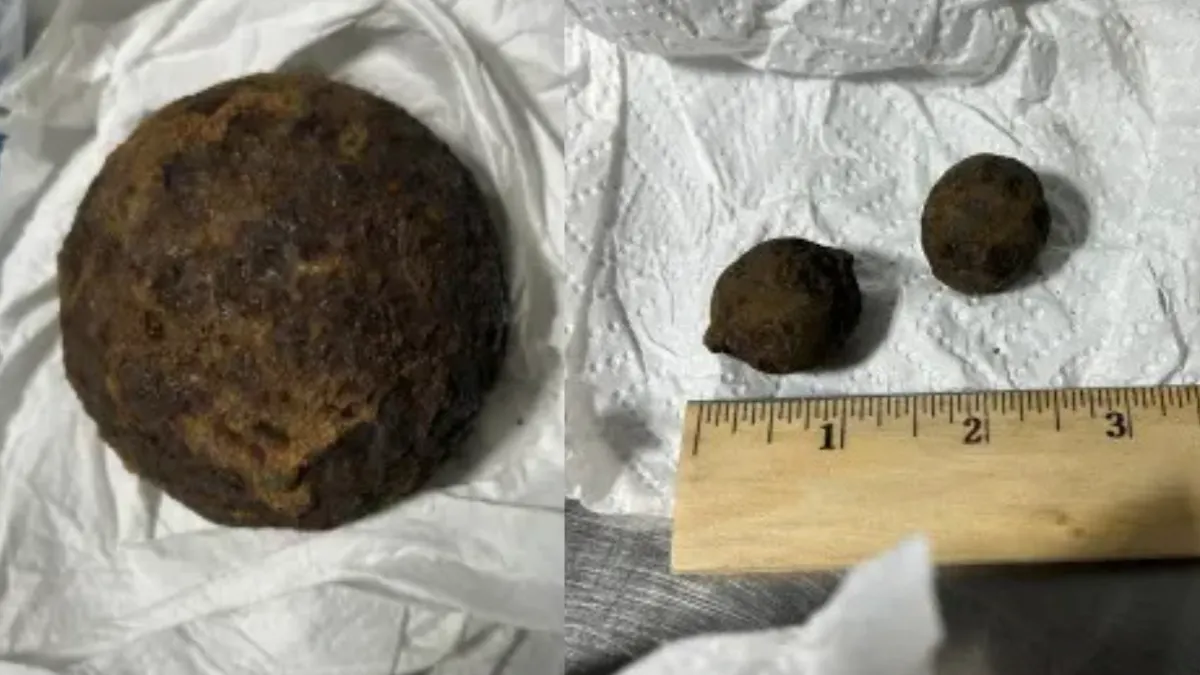 A Routine TSA Bag Check Turned Into An ‘Indiana Jones’ Mystery