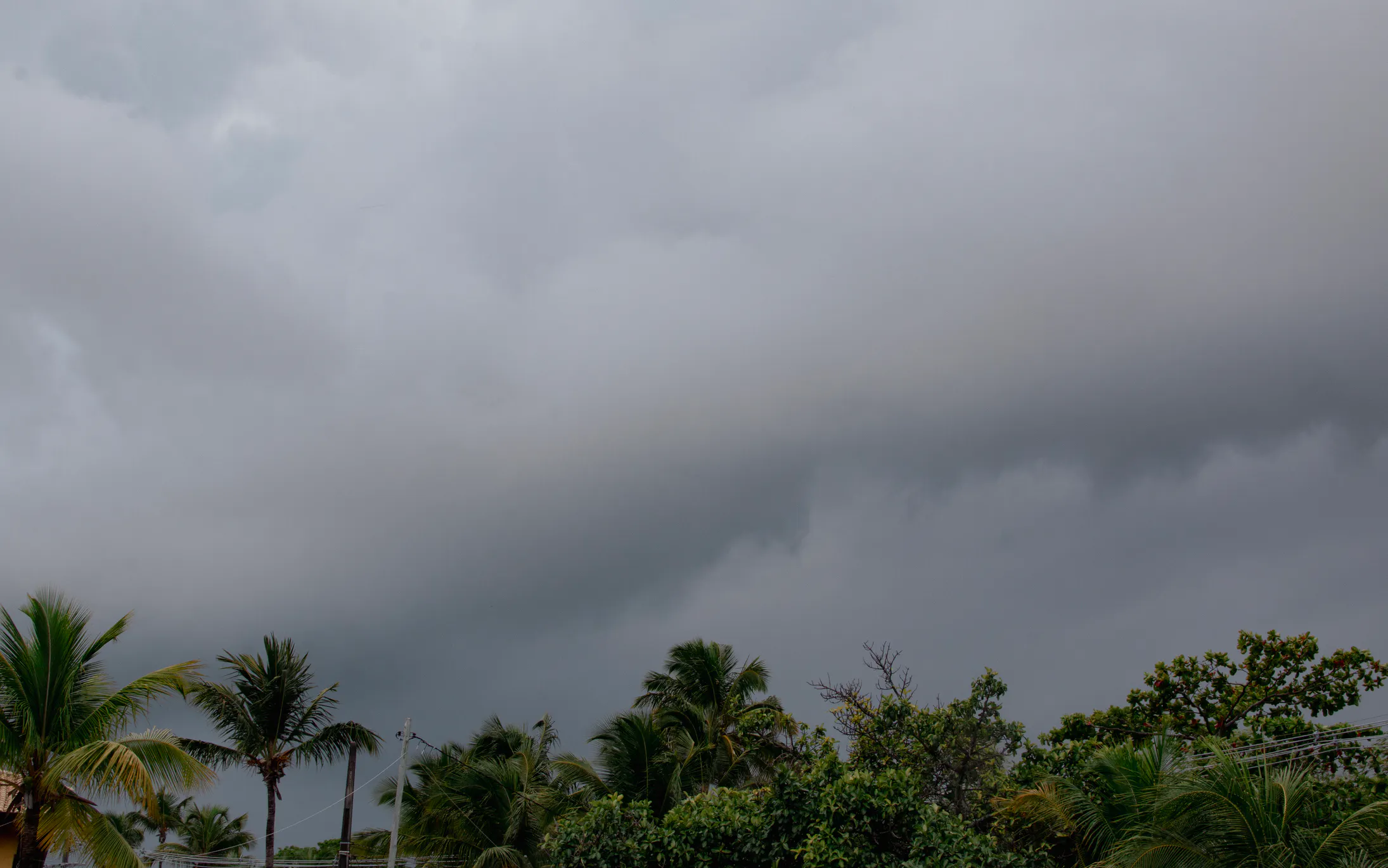 Tropical Storm Bertha Makes Landfall, Bringing Flood, Wind Threats