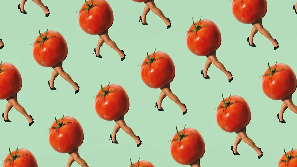 The Tomato Festival That Turned Into A Culture War