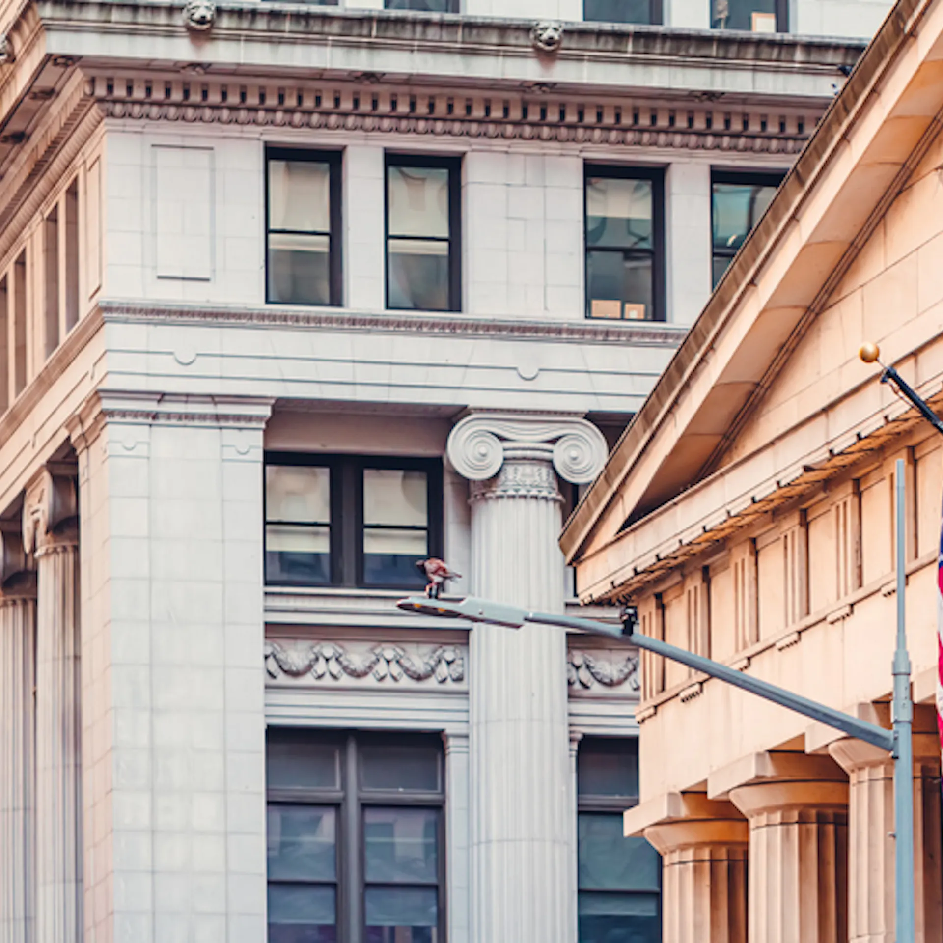 Establishing The Beauty Mandate In A Teardown Culture