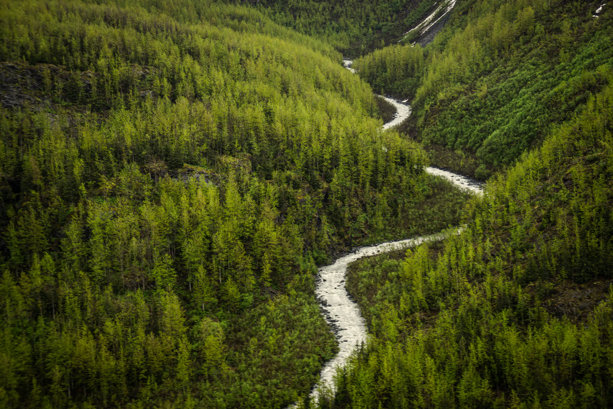 Army Engineers Killed In Remote Alaskan Plane Crash
