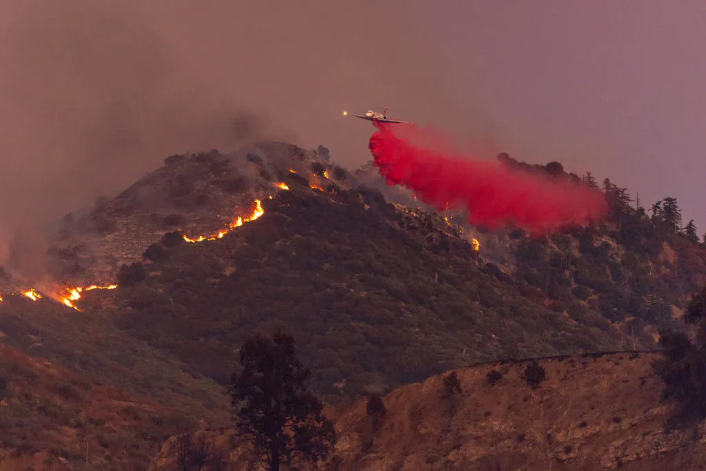 Tim Sheehy Is A One-Man Wrecking Crew Out To Save America’s Forests From Environmental Madness