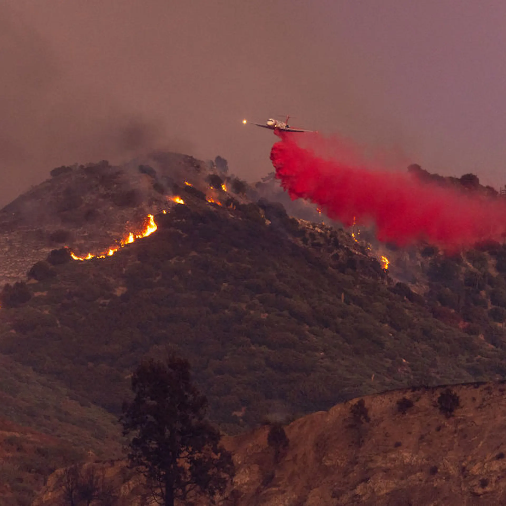 Tim Sheehy Is A One-Man Wrecking Crew Out To Save America’s Forests From Environmental Madness