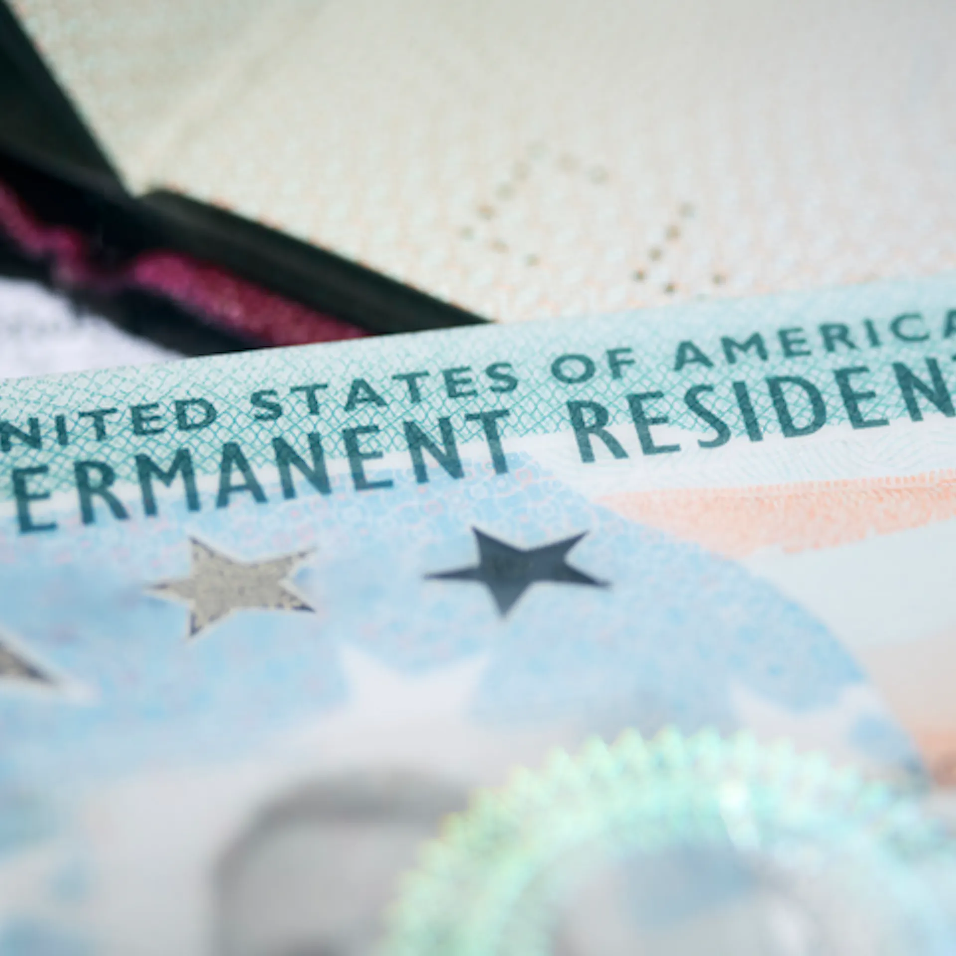 Tricia McLaughlin: Trump Needs This America First Immigration Policy To Keep America Great