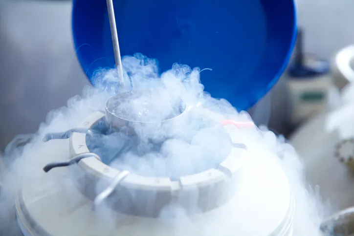 Freezing Eggs Is One Step Toward A Fatherless Dystopia