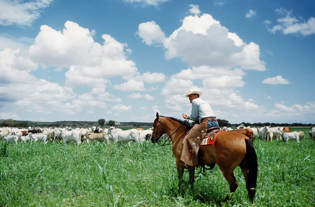 Affordable Beef Starts With American Ranchers