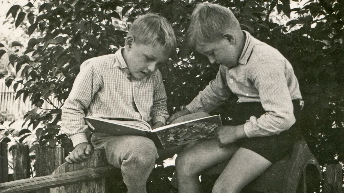 Three Unbeatable Children’s Books For Young Readers