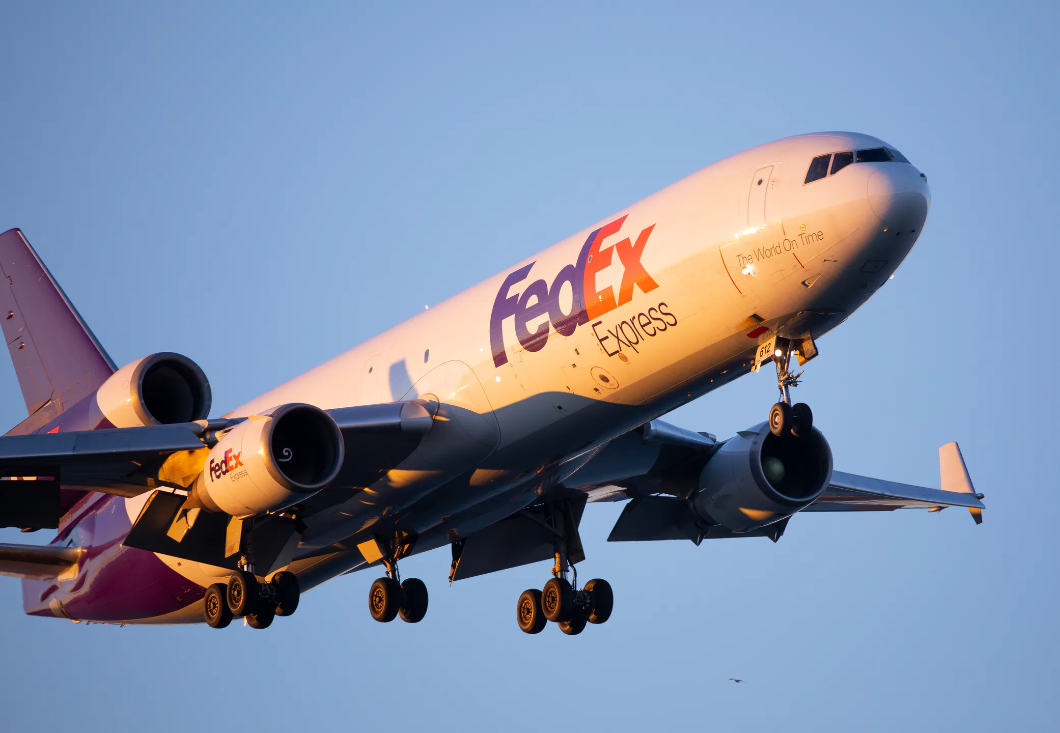 FedEx Won’t Even Ship Some Candies. Why Are Abortion Pills Different?