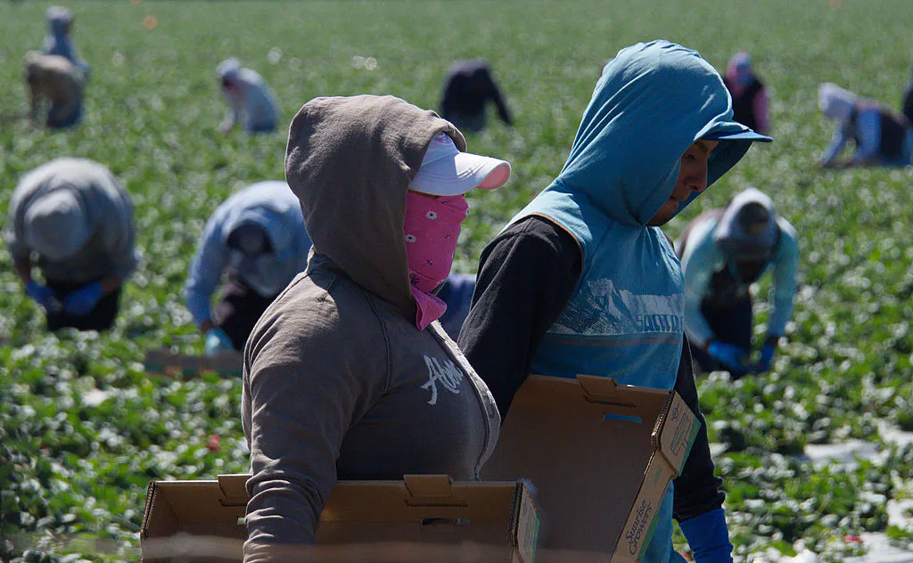EXCLUSIVE: Feds Uncover Massive Fraud Scheme Tied To Illegal Alien Smuggling Operation