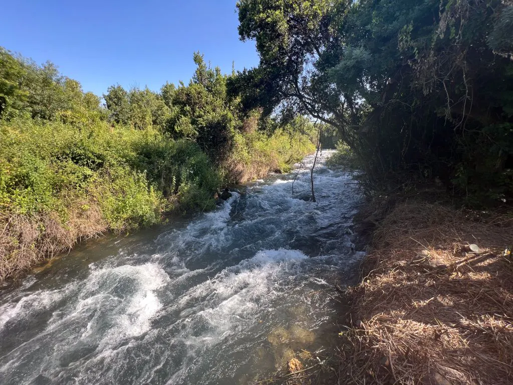Viral Video Captures Sickening Act Against Israeli Land