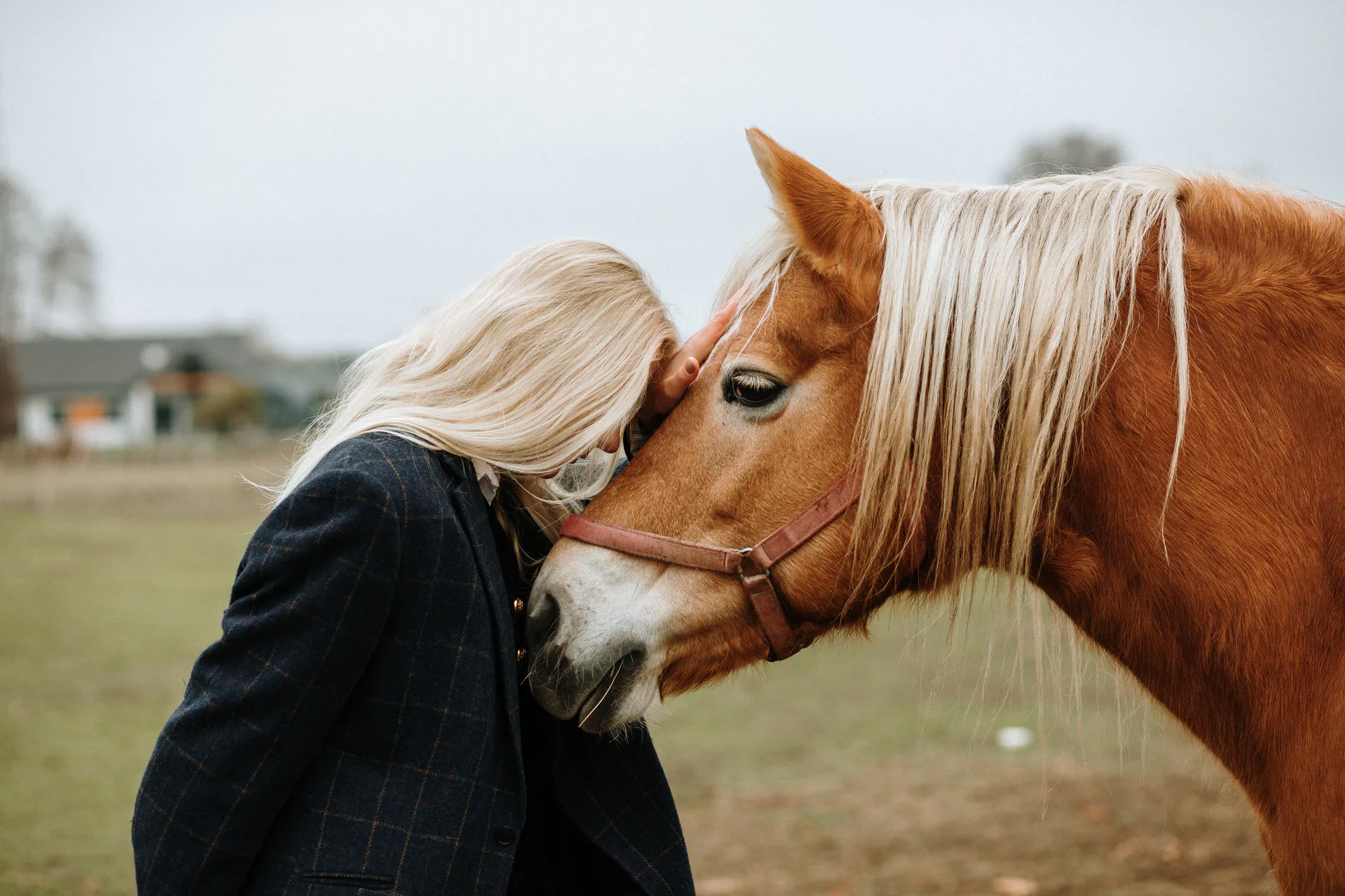 Bright Side: Air Horse One, Pricey Parm, And Why Terrible Cell Service Might Be A Blessing