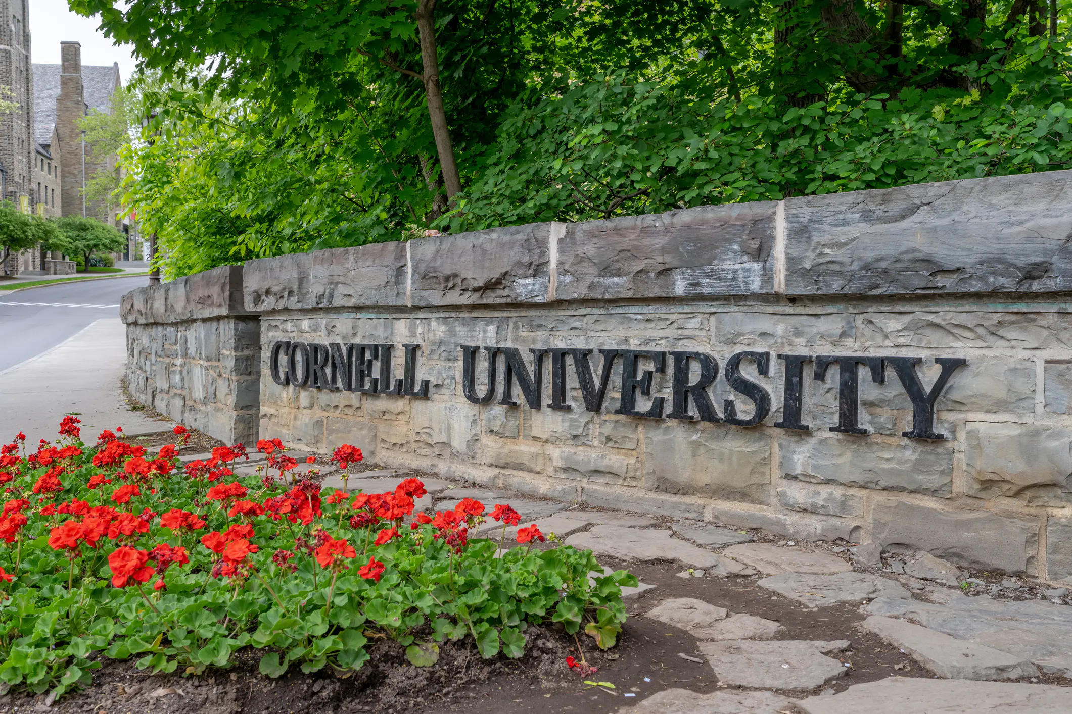 You’re Being Lied To About The ‘Cornell 7’ ‘Rape’ Case