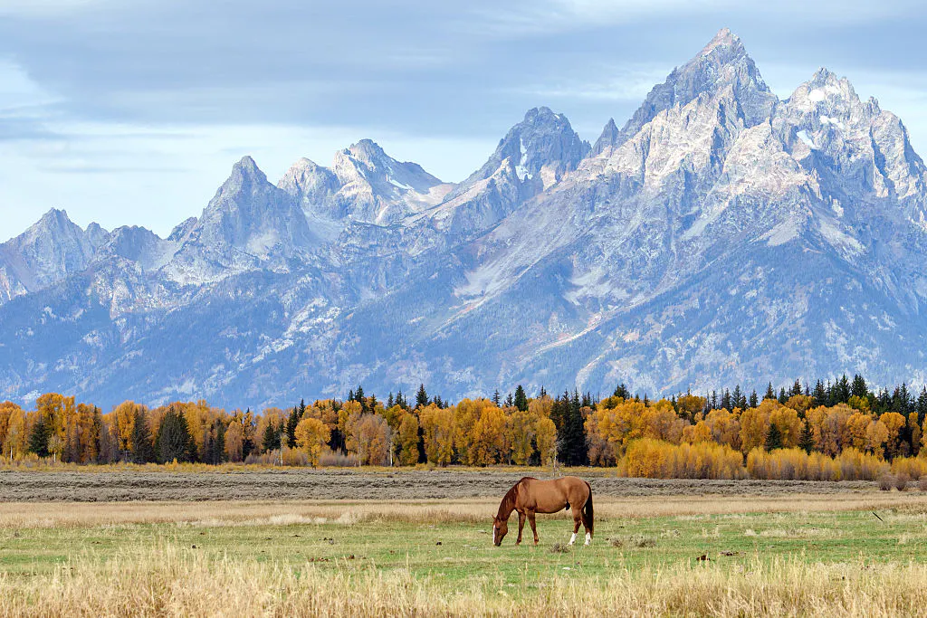 Take Me Out To The National Park? MLB Explores An Unusual Venue