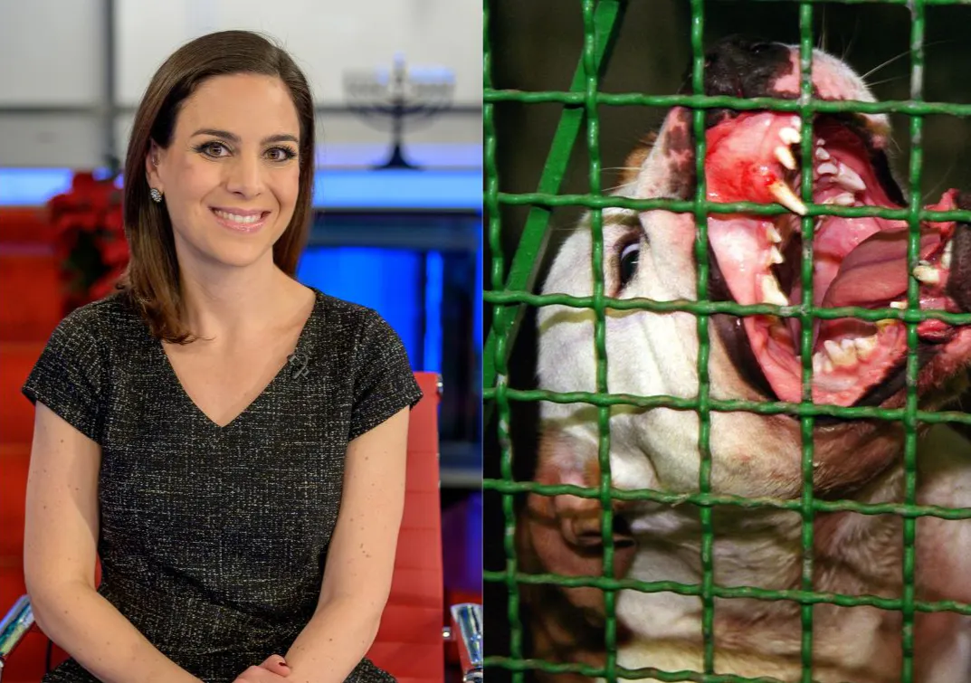 Fox Business Star ‘Permanently Disfigured’ After Vicious Dog Attack — You’ll Never Guess The Breed