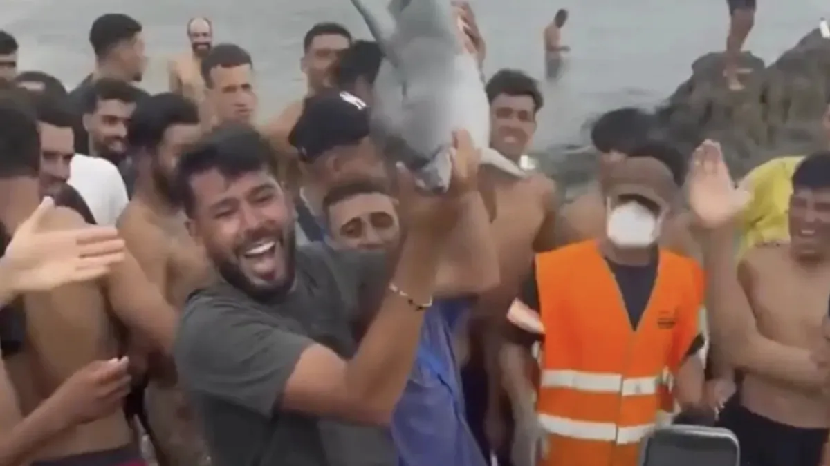 Migrants Beat Baby Dolphin To Death, Parade Carcass Like Trophy