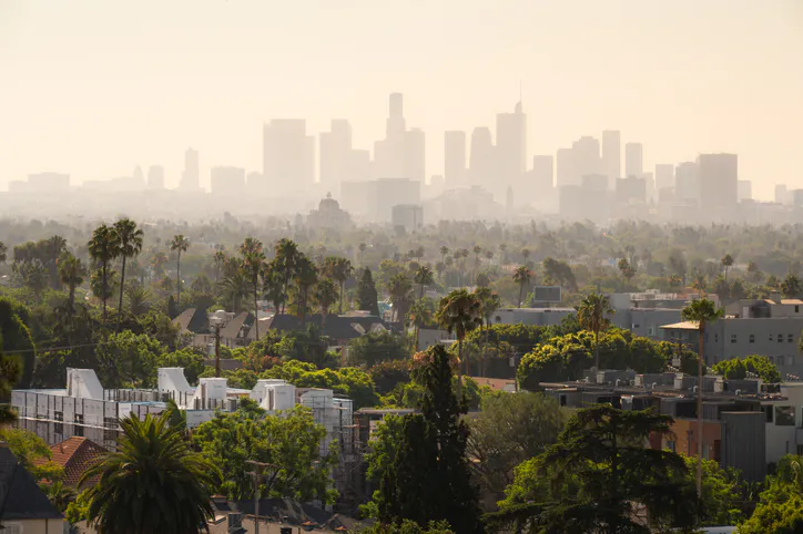 The California Paradox And The Search For A Reform Coalition