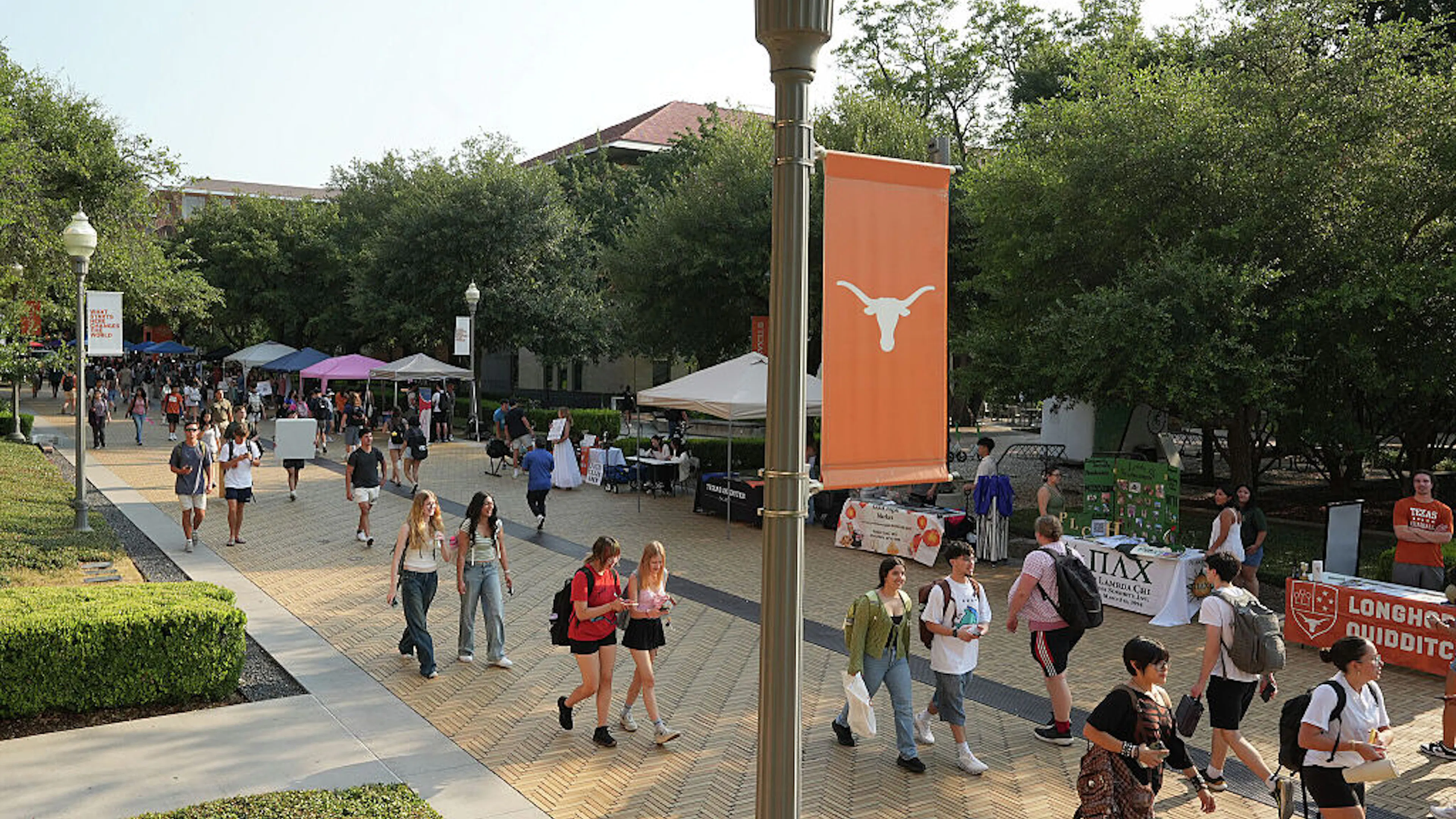 How This Red State University System Is Purging Radical Disciplines
