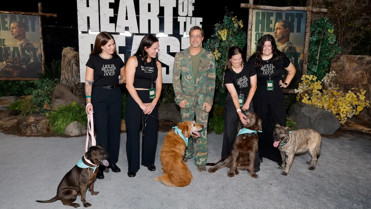 Bright Side: Bring The Tissues For Brad Pitt’s New Movie