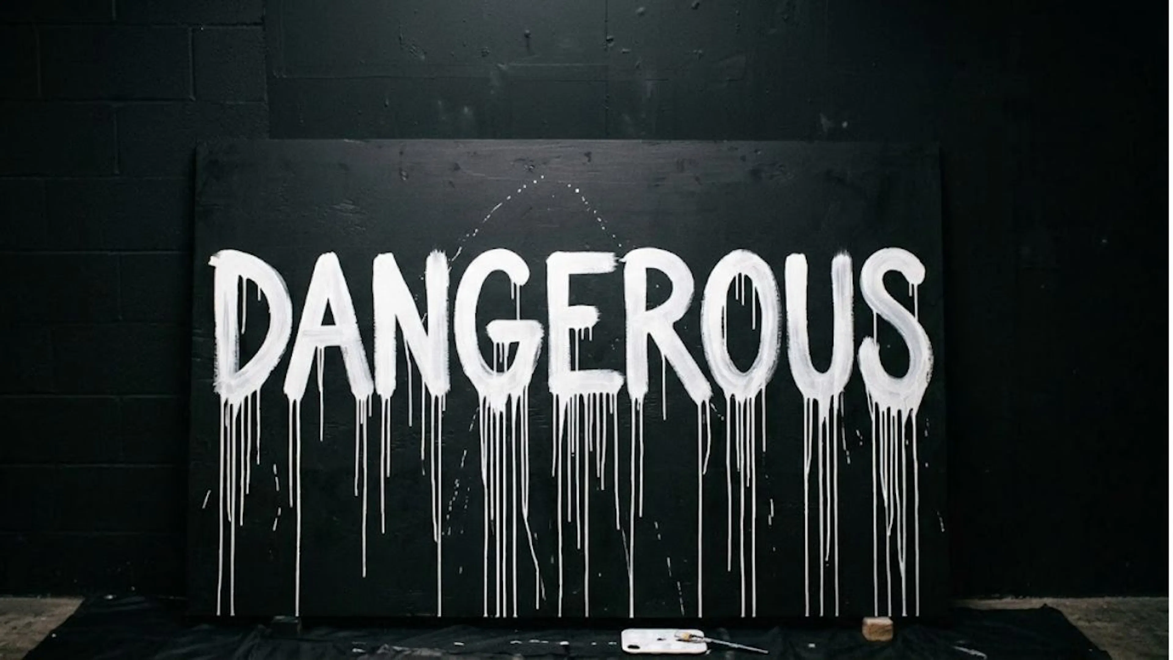AI Or Latest Leftist Claptrap? An Award-Winning Book About Dangers Of White Paint